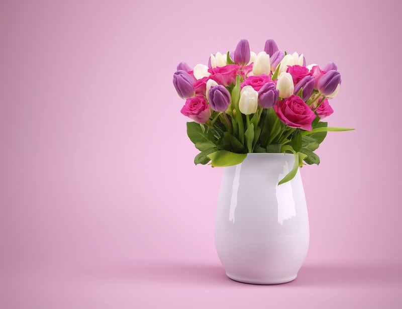Modern Self-Watering Plant Pot